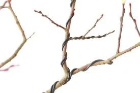 Alternatives to Using Bonsai Wire