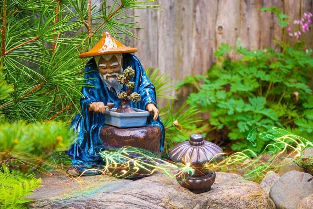 Interesting Facts That You Should Know about Bonsai Trees