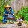 Interesting Facts That You Should Know about Bonsai Trees