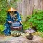 Interesting Facts That You Should Know about Bonsai Trees