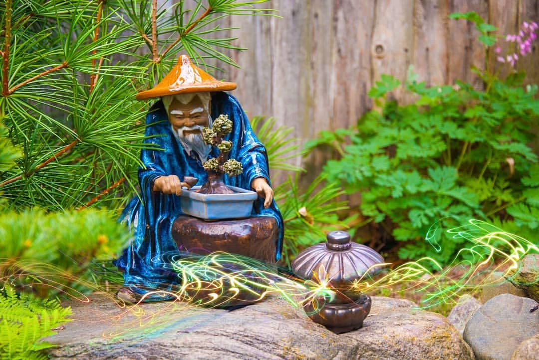 Interesting Facts That You Should Know about Bonsai Trees - Bonsai Tree Gardener