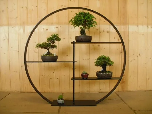How to Display your Bonsai Using Shelves