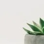 A Look into Why Minimalism is Trending Across the Globe