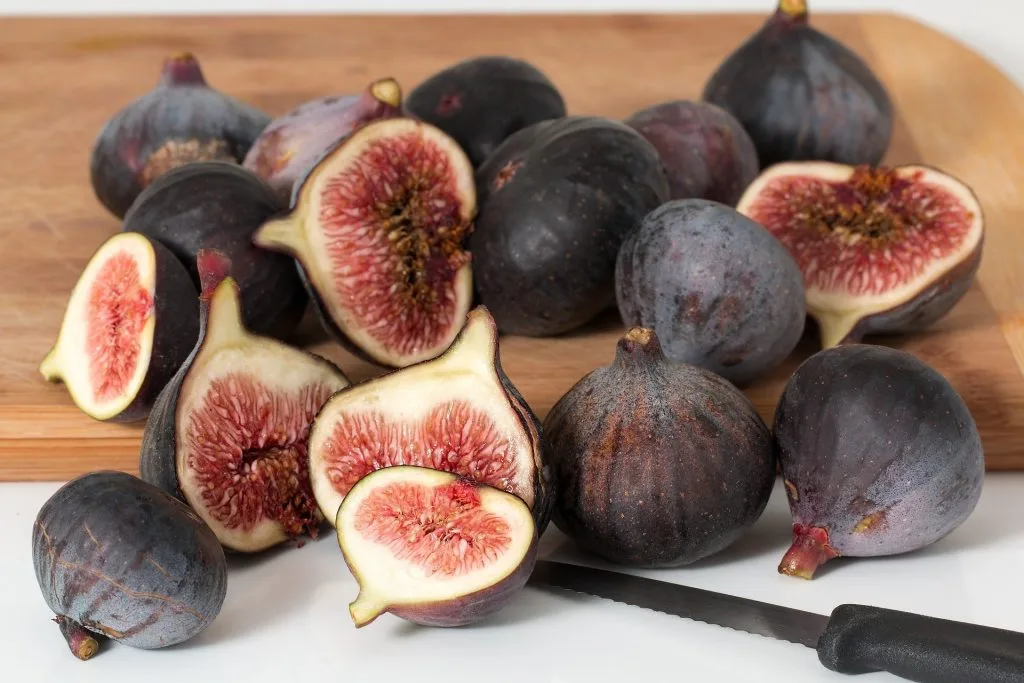 Ficus carica Bonsai Tree Care Guide