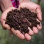 Vermicomposting