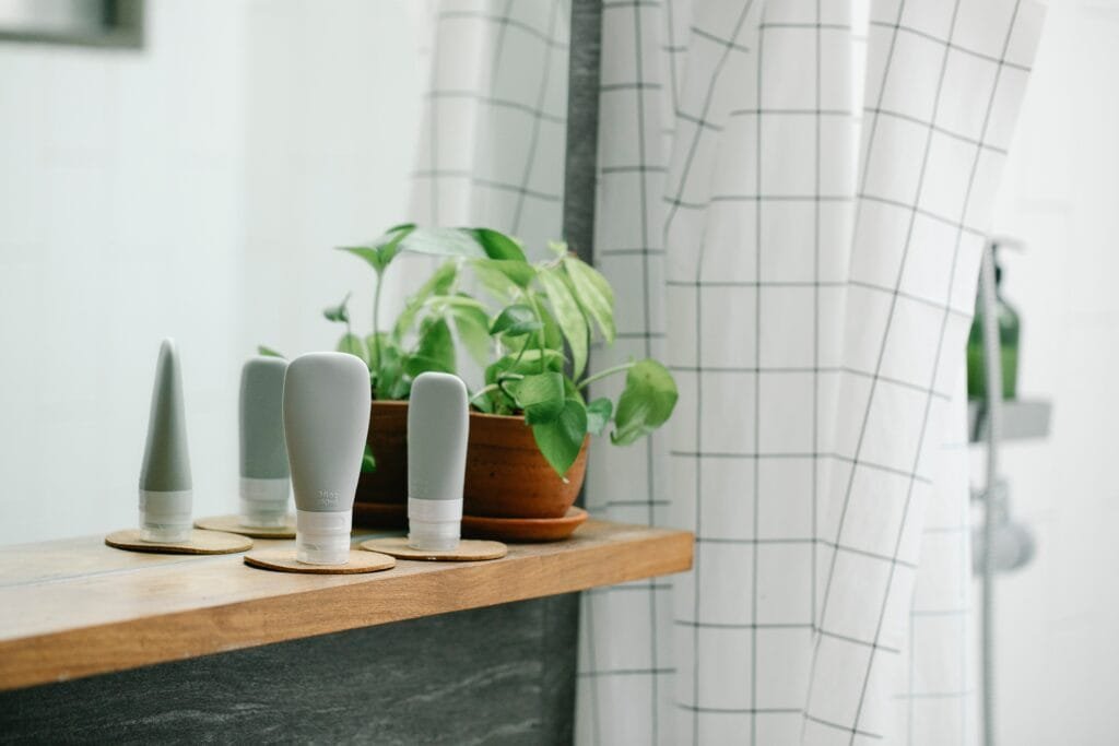 Best Bathroom Plants