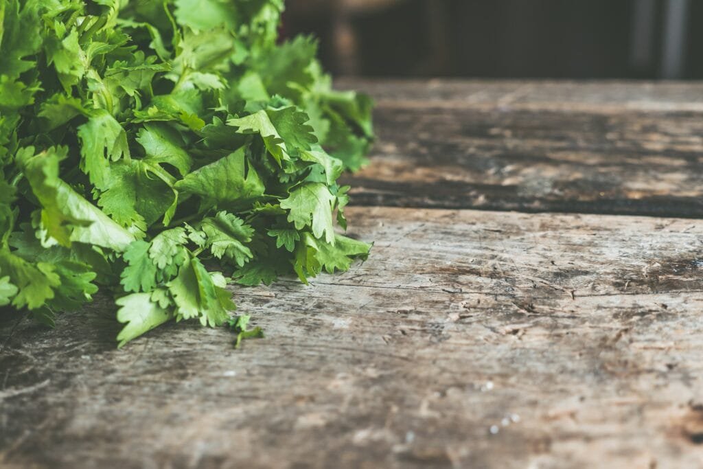 Easy To Grow Herbs
