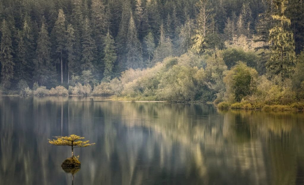 Nature The Greatest Artist