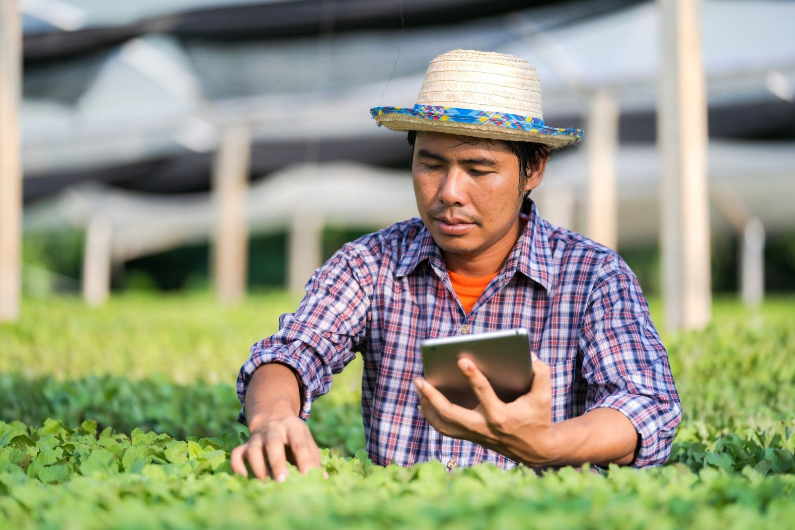 Plant Apps