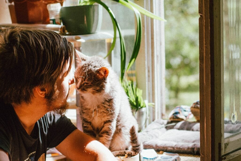 Toxic Plants Harmful To Pets