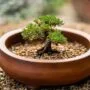 accurate soil water levels