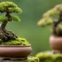 appreciating small scale beauty