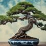 art of miniature tree