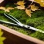 art of miniature tree
