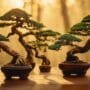 art of miniature tree