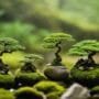 art of small landscapes