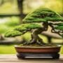 artistic expression meets tradition