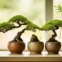 artistic miniature tree containers