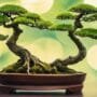 artistic tree branch shaping