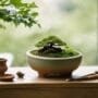 artistic vessels for trees