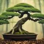 balancing art and nature
