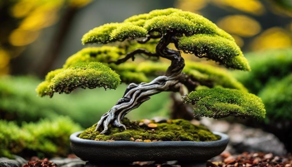 balancing harmony and tension