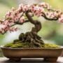 balancing visual harmony naturally