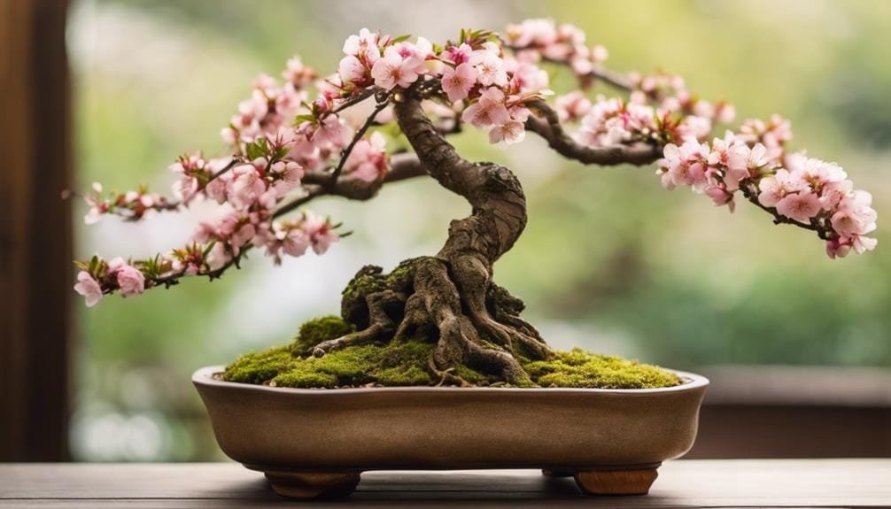 balancing visual harmony naturally