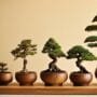 beautifully crafted miniature trees