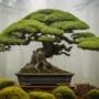 blending nature and art