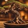 bonsai carving techniques explained