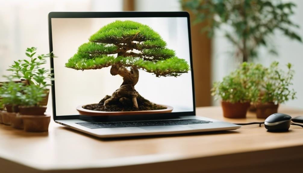 bonsai education goes online