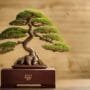 bonsai events and dates