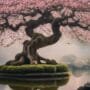 bonsai in art analysis
