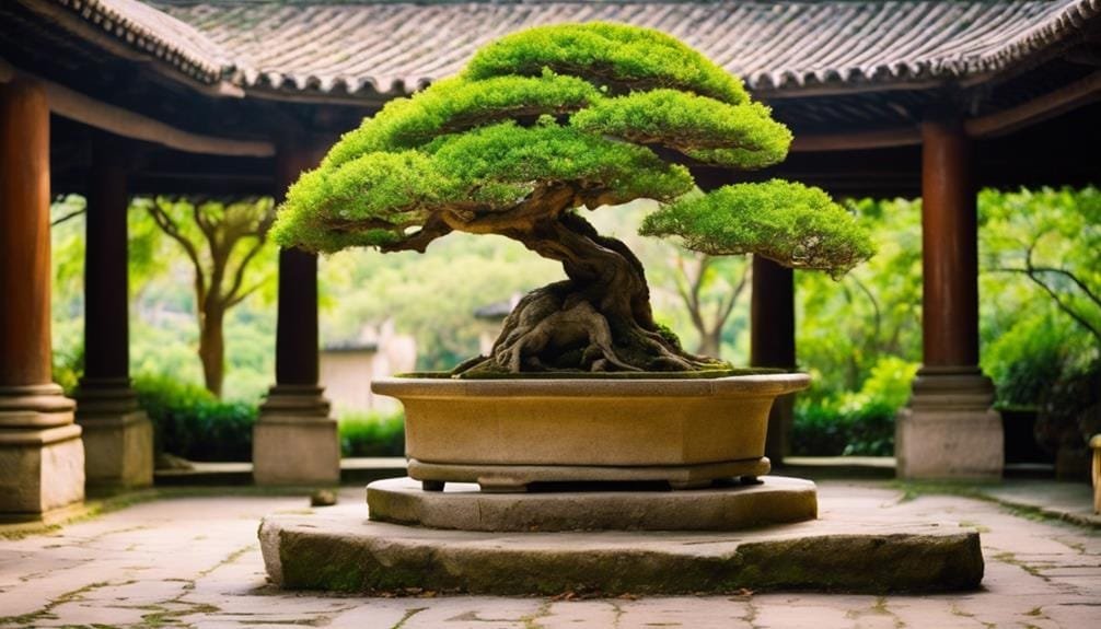 bonsai in natural setting