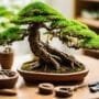 bonsai kit customization options