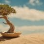 bonsai thrives in desert