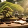 bonsai tree care solutions