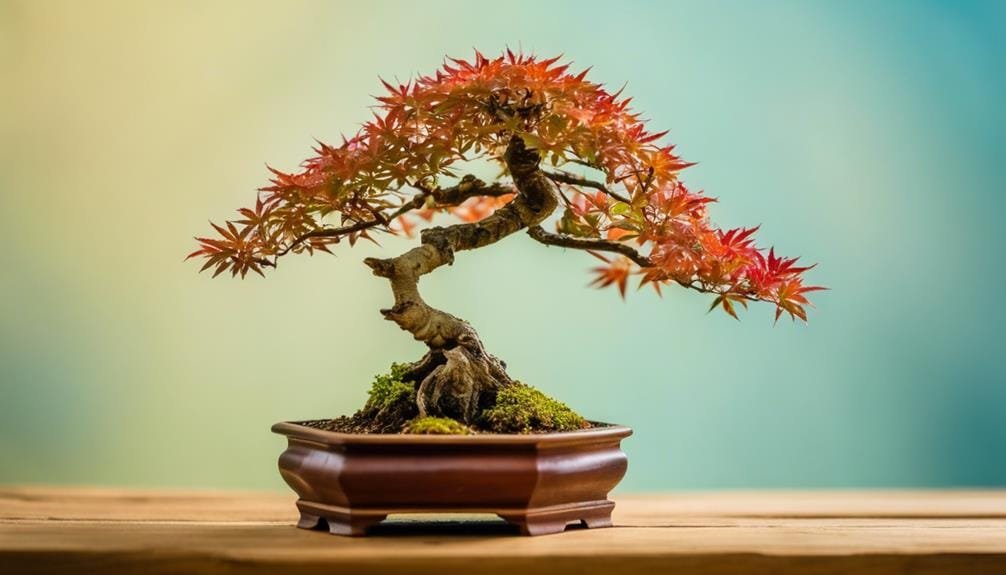 bonsai tree contest rules