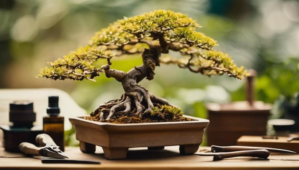 bonsai tree crisis intervention