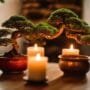 bonsai tree fire hazards