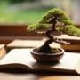 bonsai tree growing guides