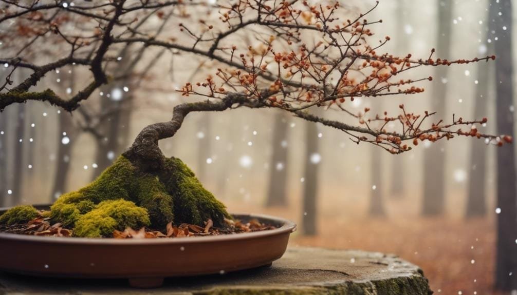 bonsai trees need rest