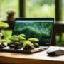buy bonsai trees online