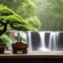 caring for delicate trees