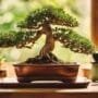 caring for small trees