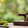 caring for tiny tools
