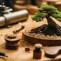 carving bonsai tree designs