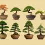 choosing trees for style