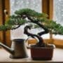 cold weather tree care